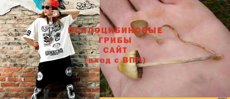 Псилоцибиновые грибы Magic Shrooms  Гуково 